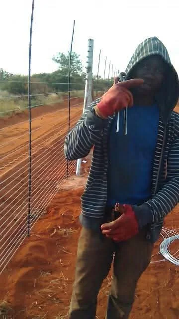 Game fence mesh wire boundary installed along a farm line